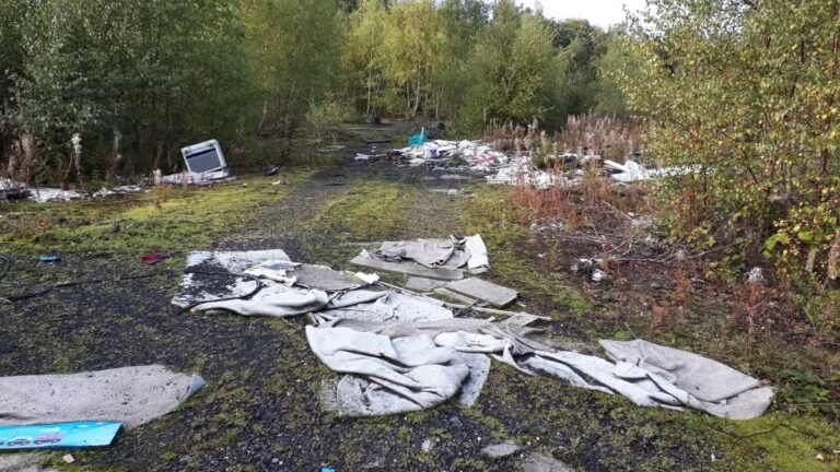 Land remediation services